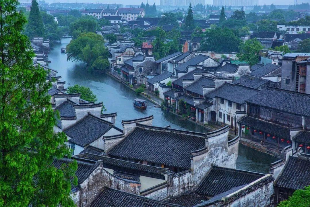 可爱兔子营救